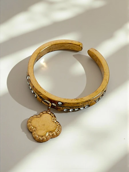 Браслет-обруч Dolce Vita з декоративними шармами